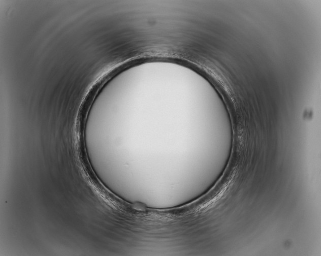 X0000098210981200805151248