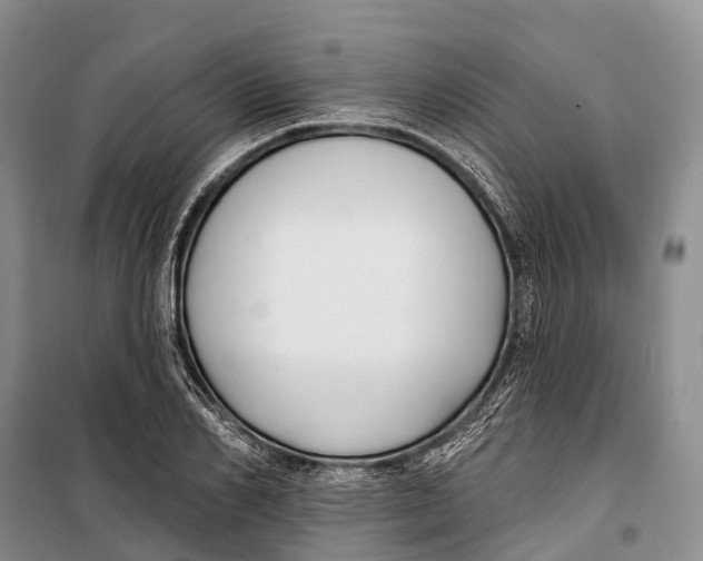 X0000098210982200805151248