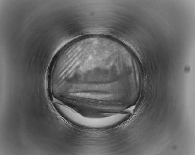 X0000098210983200805151248