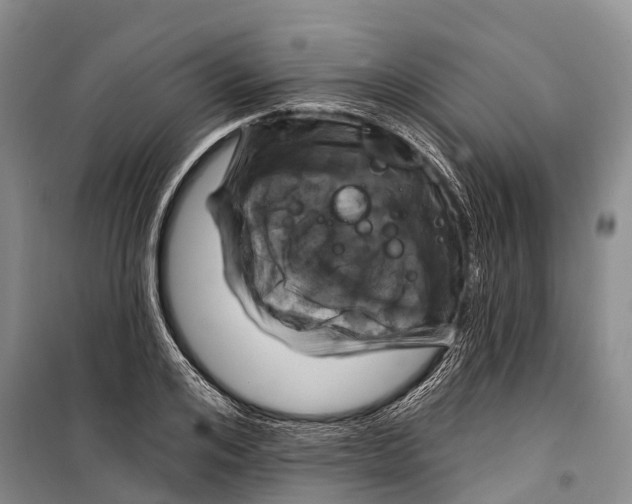 X0000098210984200805151248