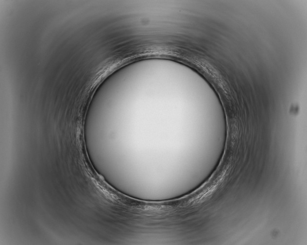 X0000098210985200805151248