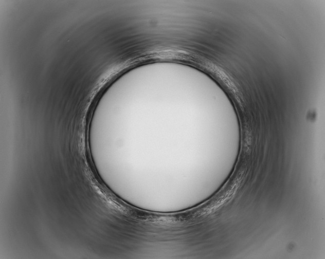 X0000098210986200805151248
