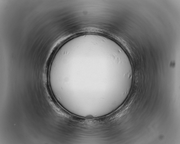 X0000098210987200805151248
