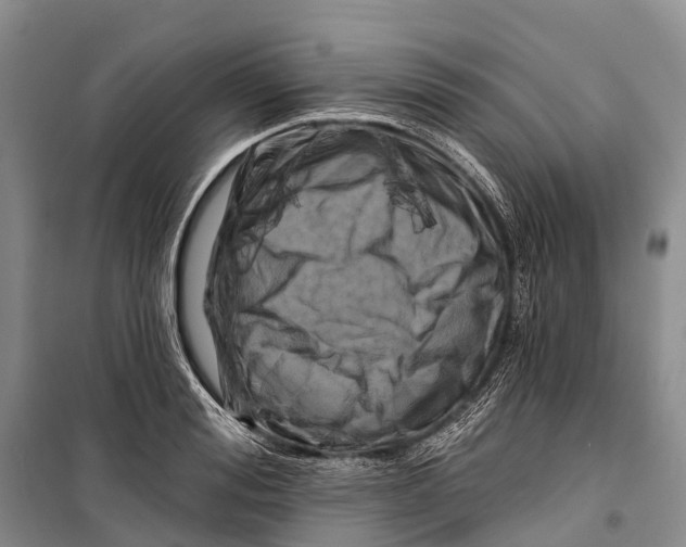 X0000098210988200805151248