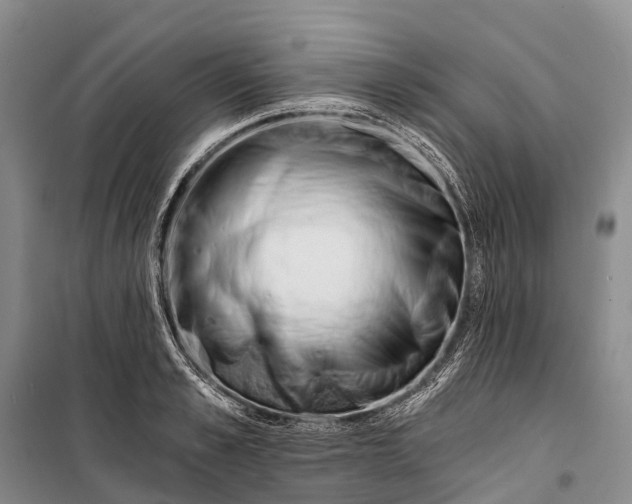 X0000098210989200805151248