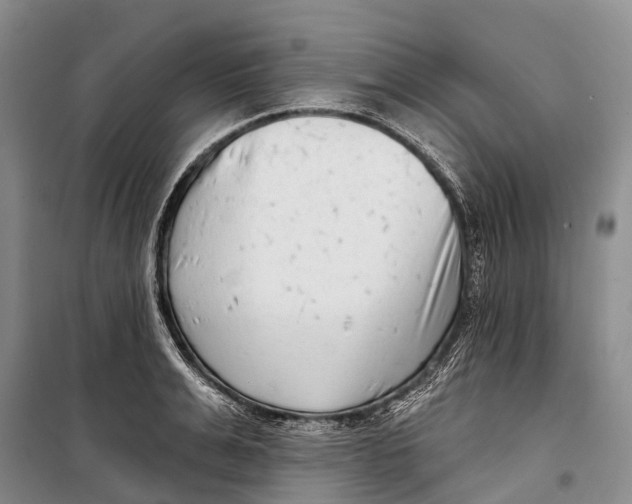 X0000098210991200805151248