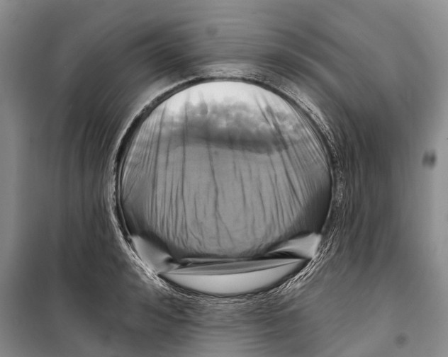 X0000098210992200805151248