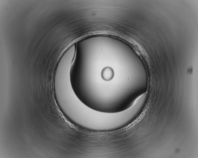 X0000098210993200805151248