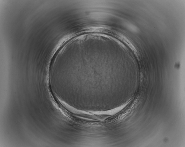 X0000098210994200805151248