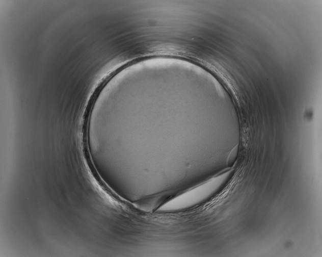 X0000098210995200805151248