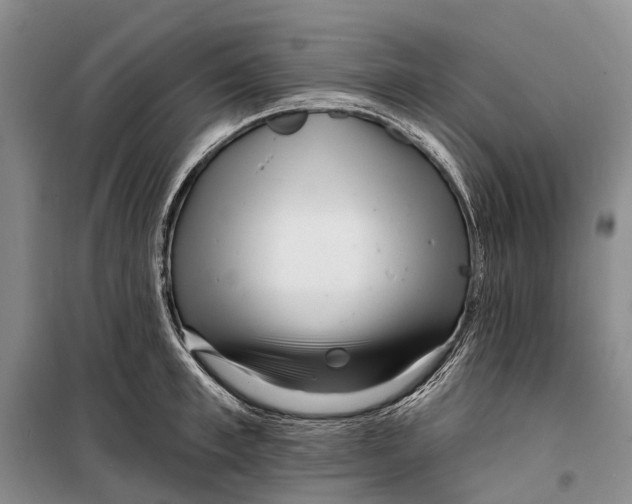 X0000098210997200805151248