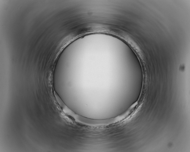 X0000098211001200805151248
