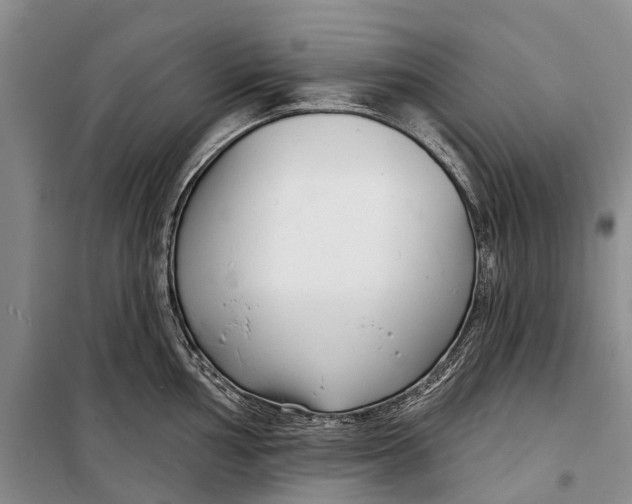 X0000098211002200805151248