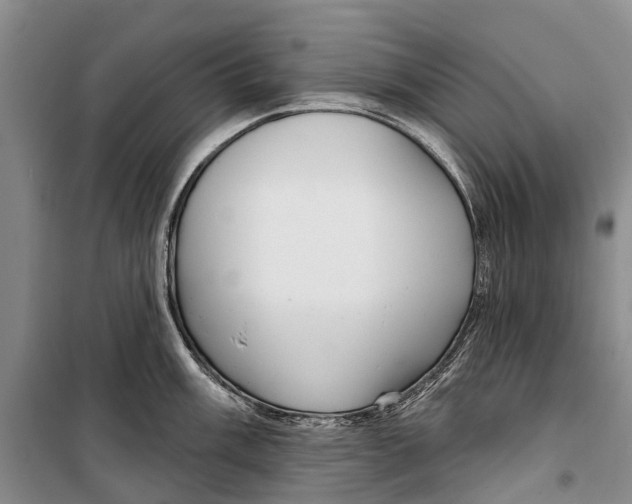 X0000098211003200805151248