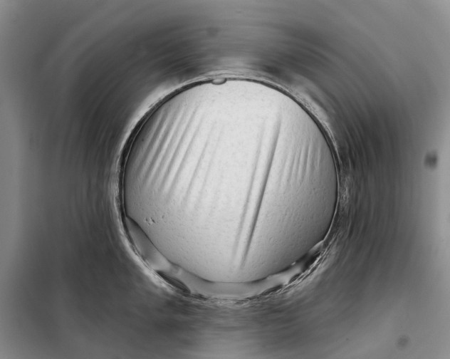 X0000098211005200805151248