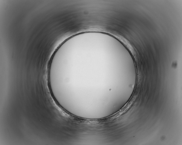 X0000098211006200805151248