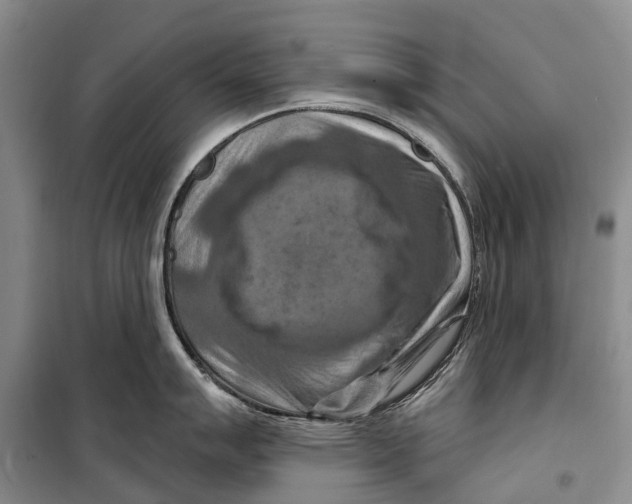 X0000098211007200805151248