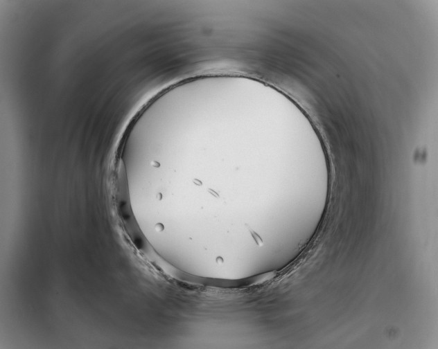 X0000098211008200805151248