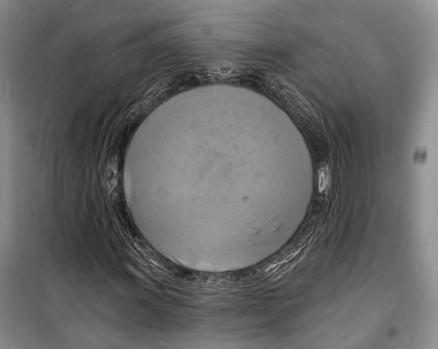 X0000098211011200805151247