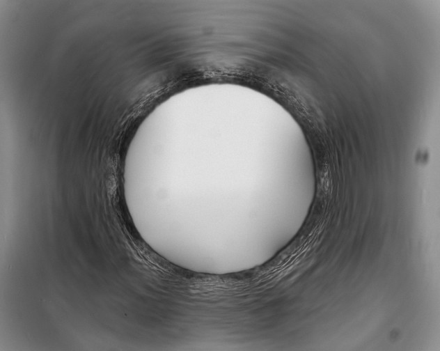 X0000098211012200805151247