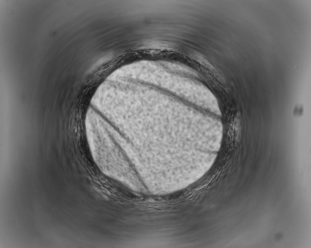 X0000098211014200805151247