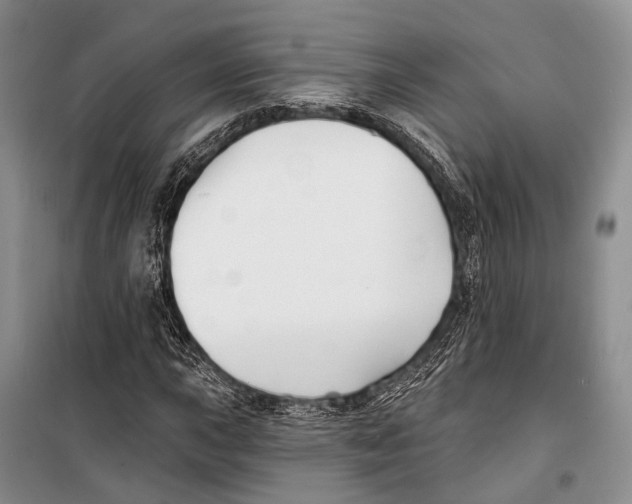 X0000098211015200805151247
