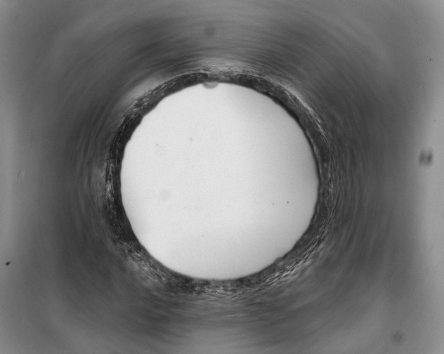 X0000098211016200805151247