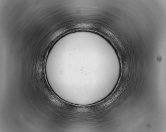 X0000098211017200805151247