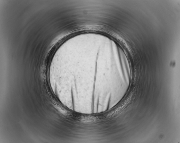 X0000098211019200805151247