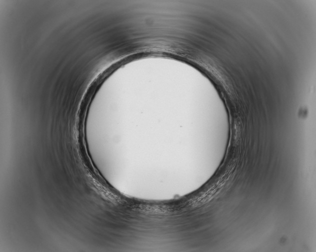 X0000098211020200805151247