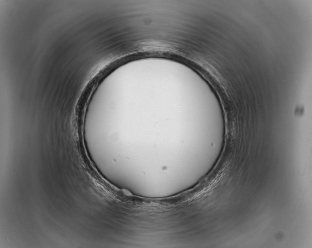 X0000098211022200805151247