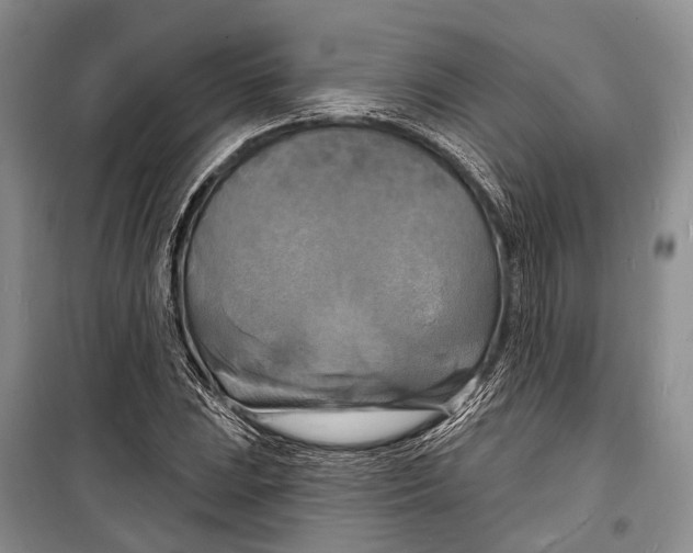 X0000098211023200805151247