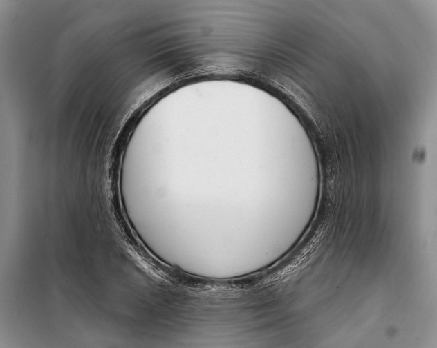 X0000098211026200805151248