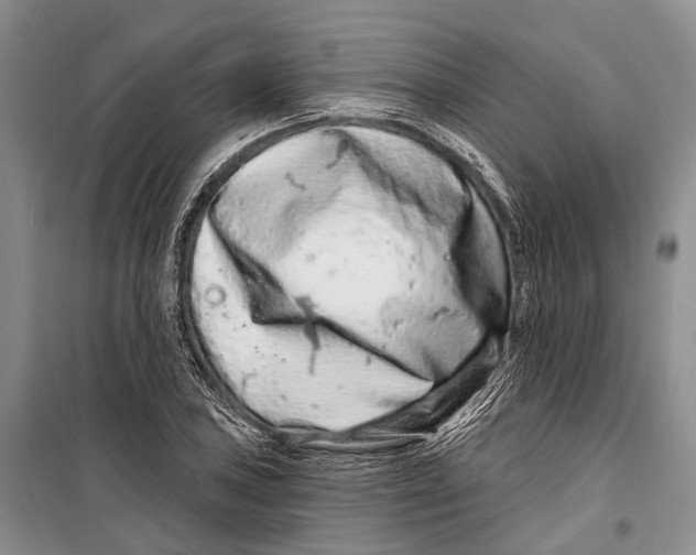 X0000098211027200805151248