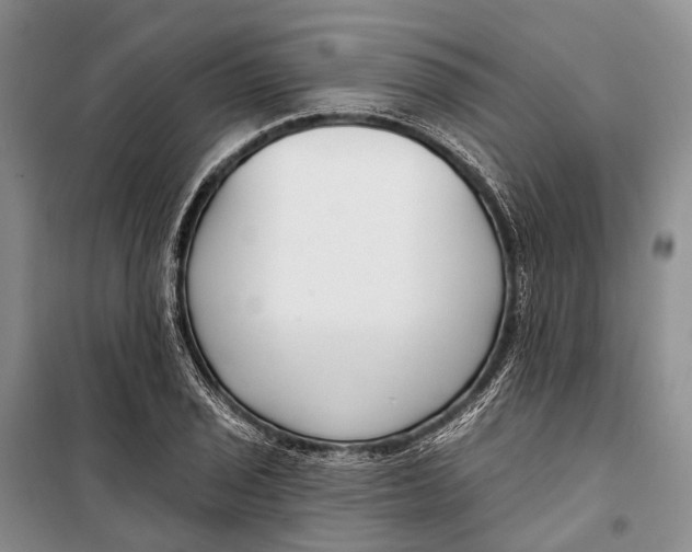 X0000098211029200805151248
