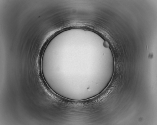 X0000098211030200805151248