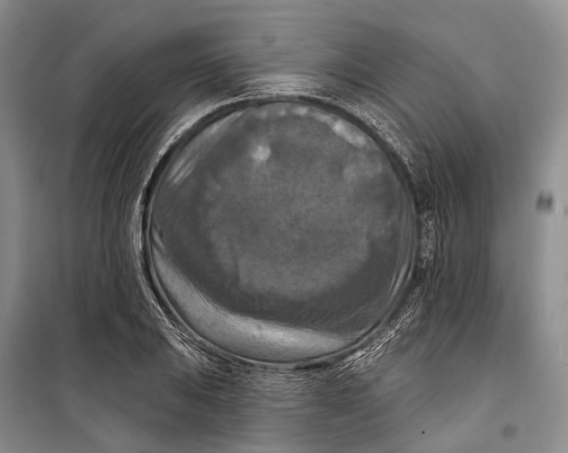 X0000098211031200805151248
