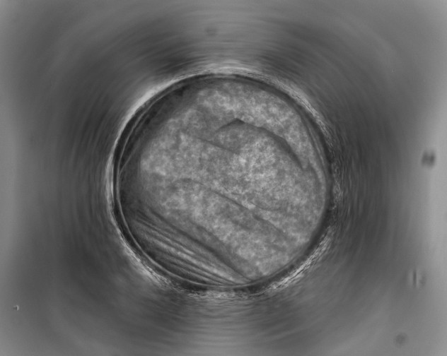 X0000098211032200805151248