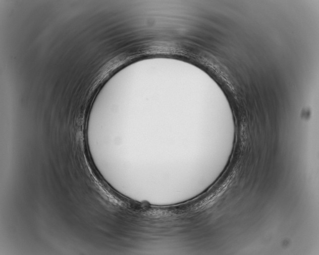 X0000098211033200805151248