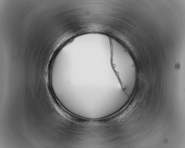 X0000098211034200805151248