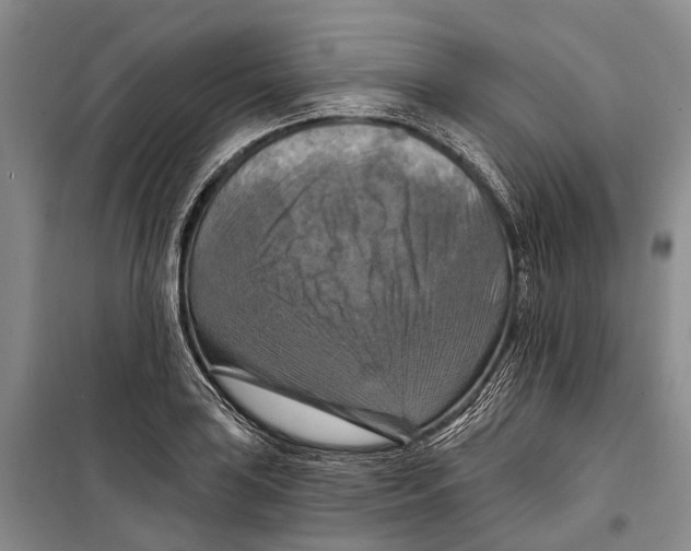 X0000098211035200805151248