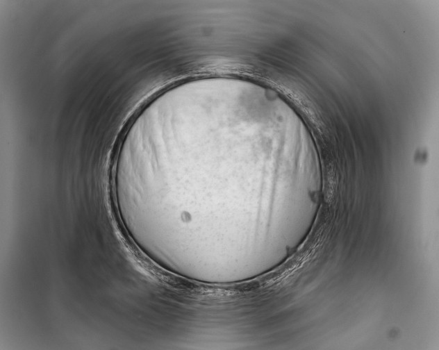 X0000098211039200805151248