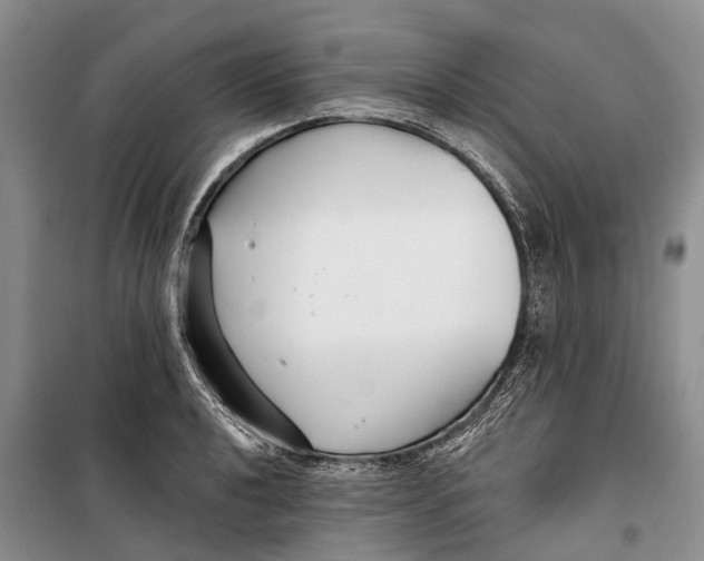 X0000098211040200805151248
