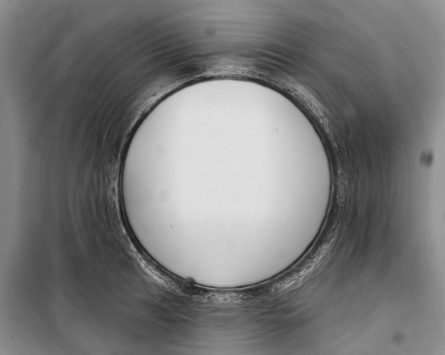 X0000098211041200805151248