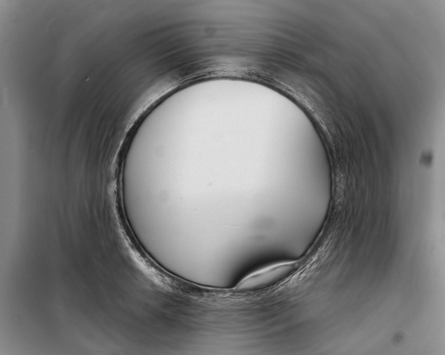 X0000098211042200805151248
