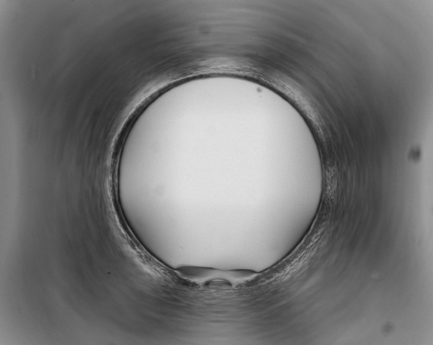 X0000098211043200805151248