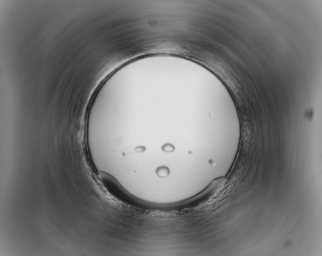 X0000098211044200805151248