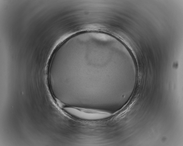 X0000098211045200805151248