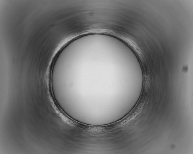 X0000098211046200805151248