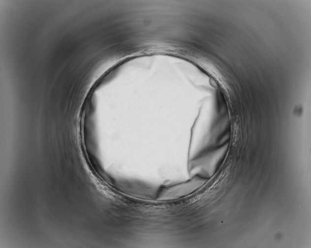 X0000098211047200805151248